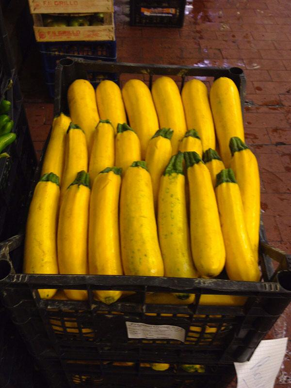 Zucchine GIalle