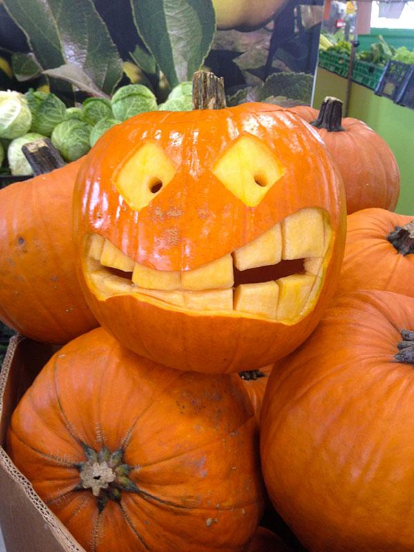 Zucche di Halloween