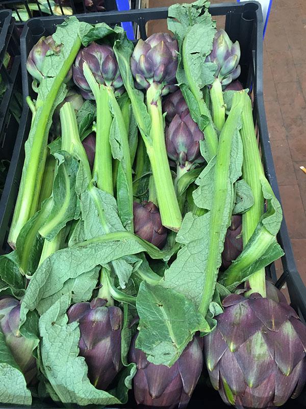 Carciofo violetto