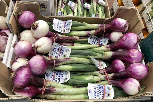 Cipollotto Rosso Di Tropea IGP