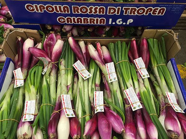 Cipollotto rosso IGP