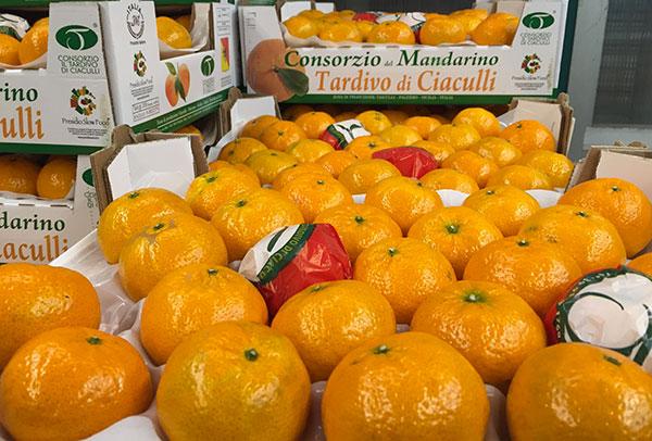 Mandarini tardivi