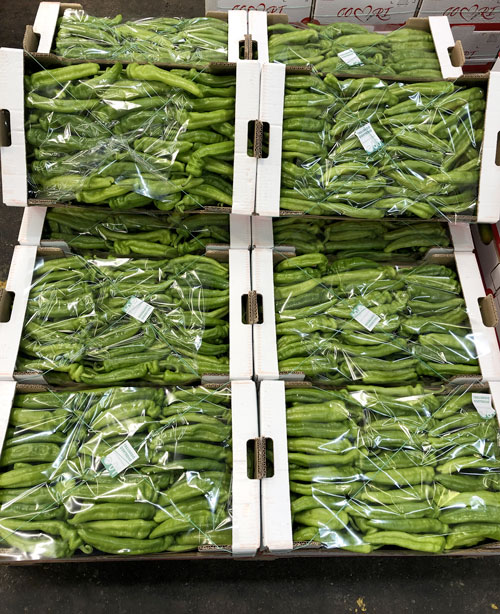 Peperoncino Friggitello Sicilia