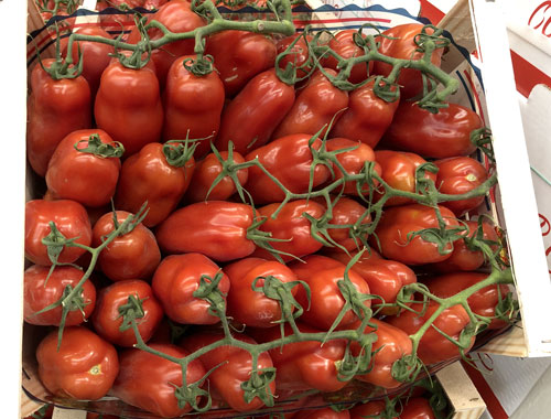 Pomodoro San Marzano