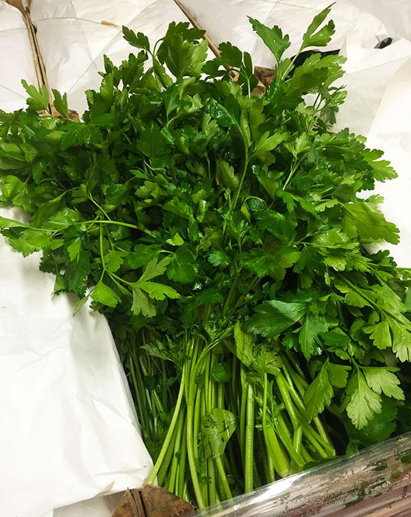 Prezzemolo riviera ligure