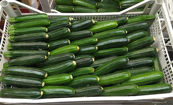 Zucchine